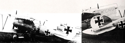 Albatros D.V Jasta 15  Albert Haussmann