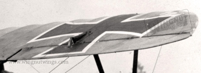 Detail aileron, Albatros D.V Jasta 16b, Ltn Karl Schattauer