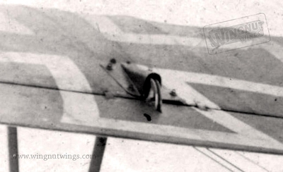 Detail aileron, Albatros D.V Jasta 18 Joseph Veltjens (Greg VanWyngarden)