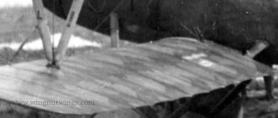 Albatros D.V 2359~17  Detail wings4 (AL0128 27)
