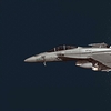 F 18F