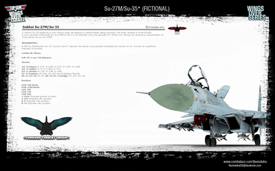 ForeverTomcat_Su-27_Su-35_01.jpg