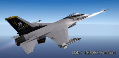 USN F 16N  1