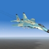 20th Anniversary IRIAF MiG-29