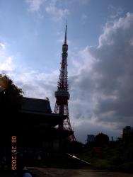 tokyotowerzojoshrine.jpg