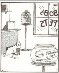 farside.jpg