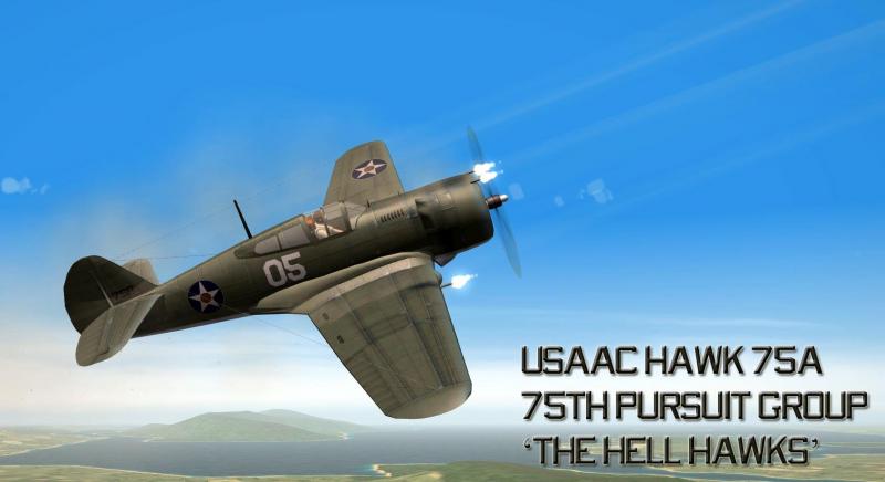 USAAC Hawk 75A.jpg