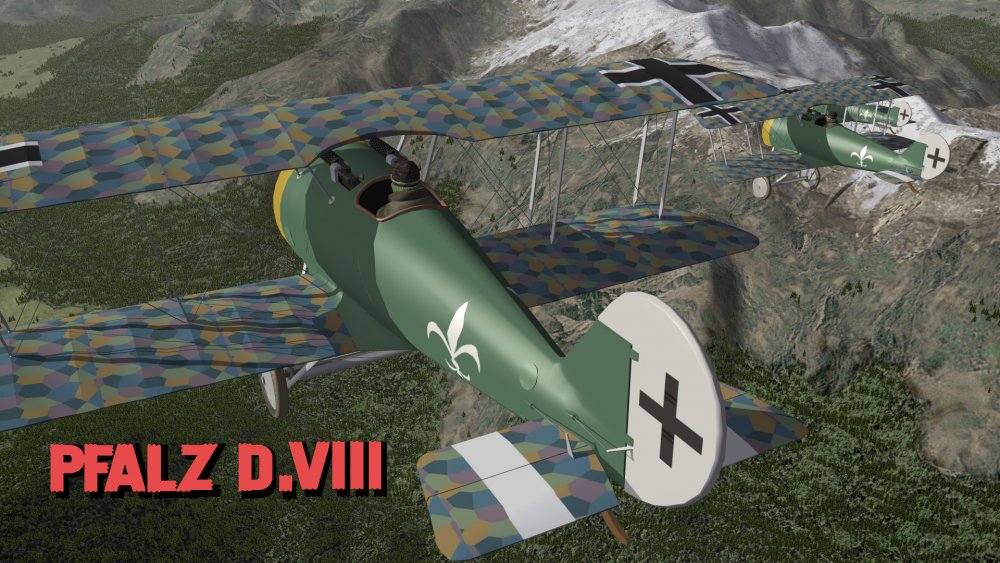 Pfalz D8 LOADING.jpg