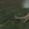 NieuportC10t10-14-18-18-45-06.jpg