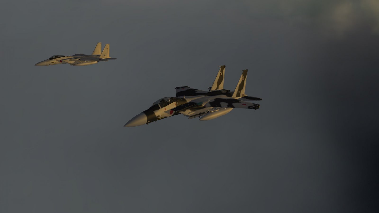 F-15J and F-15DJ Aggressor in Formation