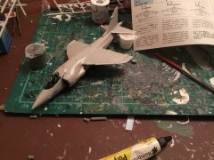 IMG_3540.JPG