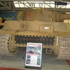 Tiger 131