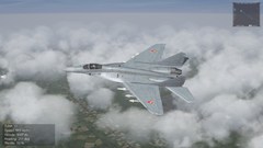 Mig-29 Variations