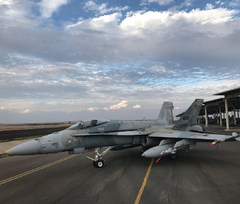 Kuwaiti F/A-18 Hornet