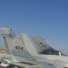 Kuwaiti F/A-18 Hornet