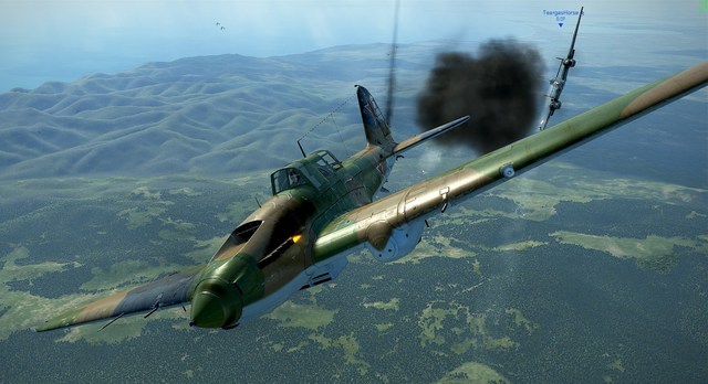 BF-110 vs -IL-2.jpg