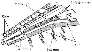 Different-parts-of-the-structure-of-a-wing_ppm.png.ec6ea534747082f011c205a427a042f4.png