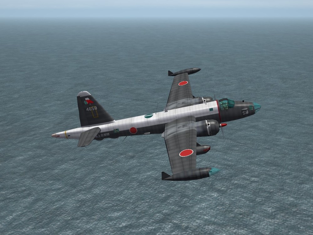 p2h-jmsdf.JPG