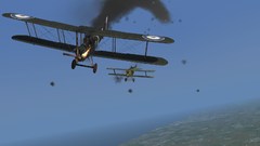 large.4.jpg