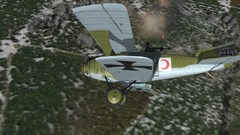 large.7.jpg