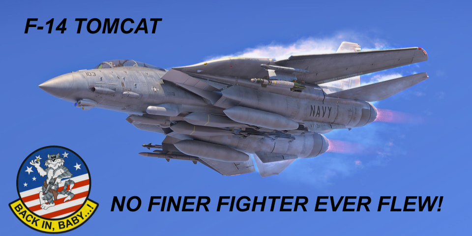 64341a8628d40_ST21NoFinerFighter.png.c6ca6c1757b6c45639764babff1a3fcd.png