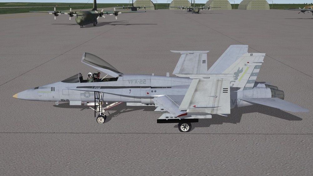 VFA-22 (FA-18A).JPG