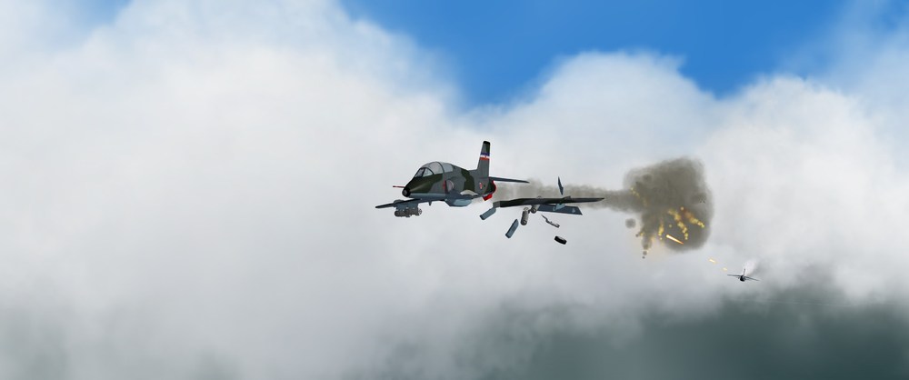img00010.thumb.JPG.5640c248c660e9a751d40089a6ea5f9a.JPG
