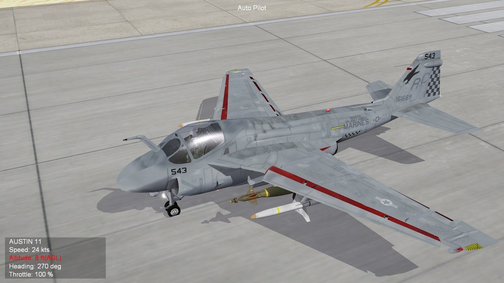 Hawk7.jpg