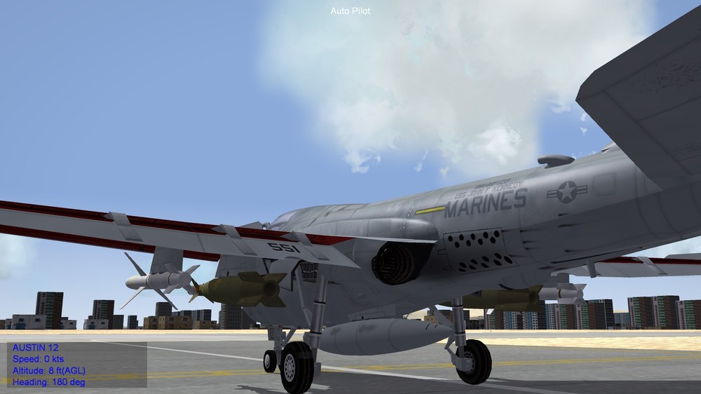 Hawk9.jpg