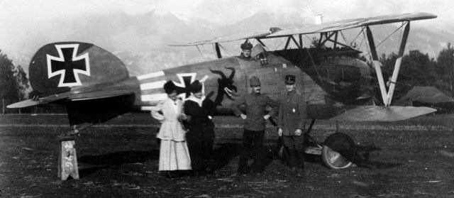Jasta_31_Alb_DIII_OAW.jpg