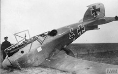 Alb D.III Jasta 29.jpg