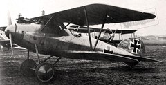 Albatros D.Va Jasta 29 (D.5390~17).jpg