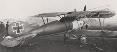Albatros D.Va Jasta 29 D.5390~17 captured, rear view.jpg