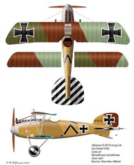 Albatros_DIII213216.jpg