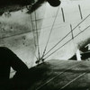 DIIIOAWdetail_wing root.jpg