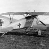 Albatros DIII.jpg