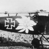 Albatros D.V 2263~17 Otto Kissenberth - Jasta 23b view b (Greg VanWyngarden).jpg