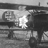 Albatros D.V 2263~17 Otto Kissenberth - Jasta 23b view c (Greg%20VanWyngarden).jpg