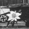 Albatros D_V 2263~17 Otto Kissenberth - Jasta 23b view a (Greg VanWyngarden).jpg