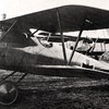 Albatros D.Va Jasta 29 (D.5390~17).jpg