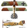 Albatros_DIII213216.jpg