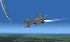 F16 002.JPG