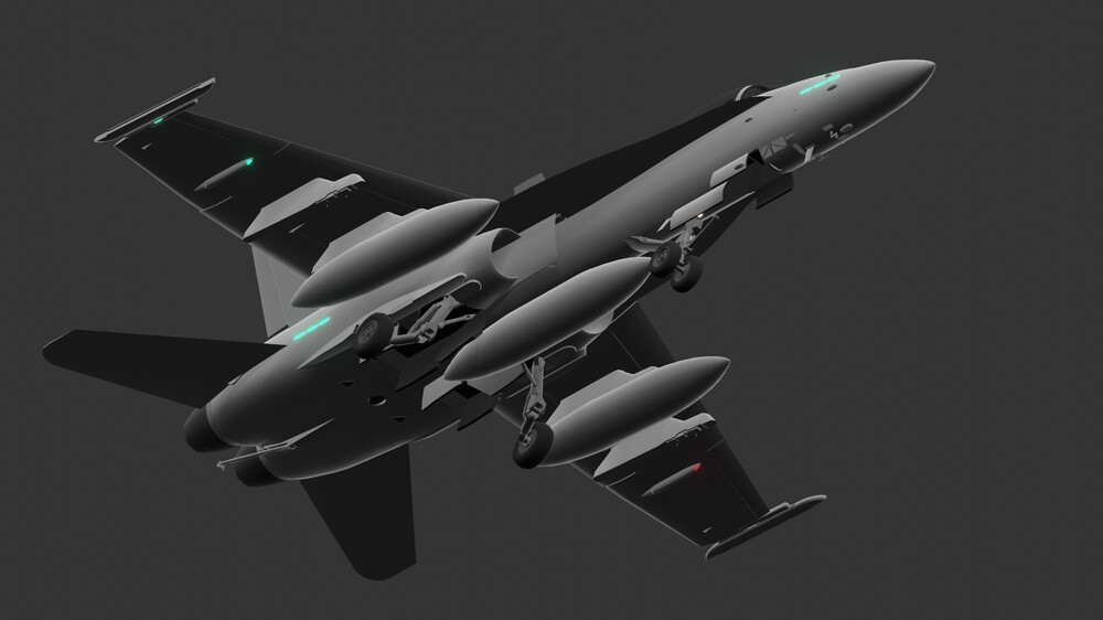 F18C(2).jpg