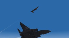 img00195.JPG