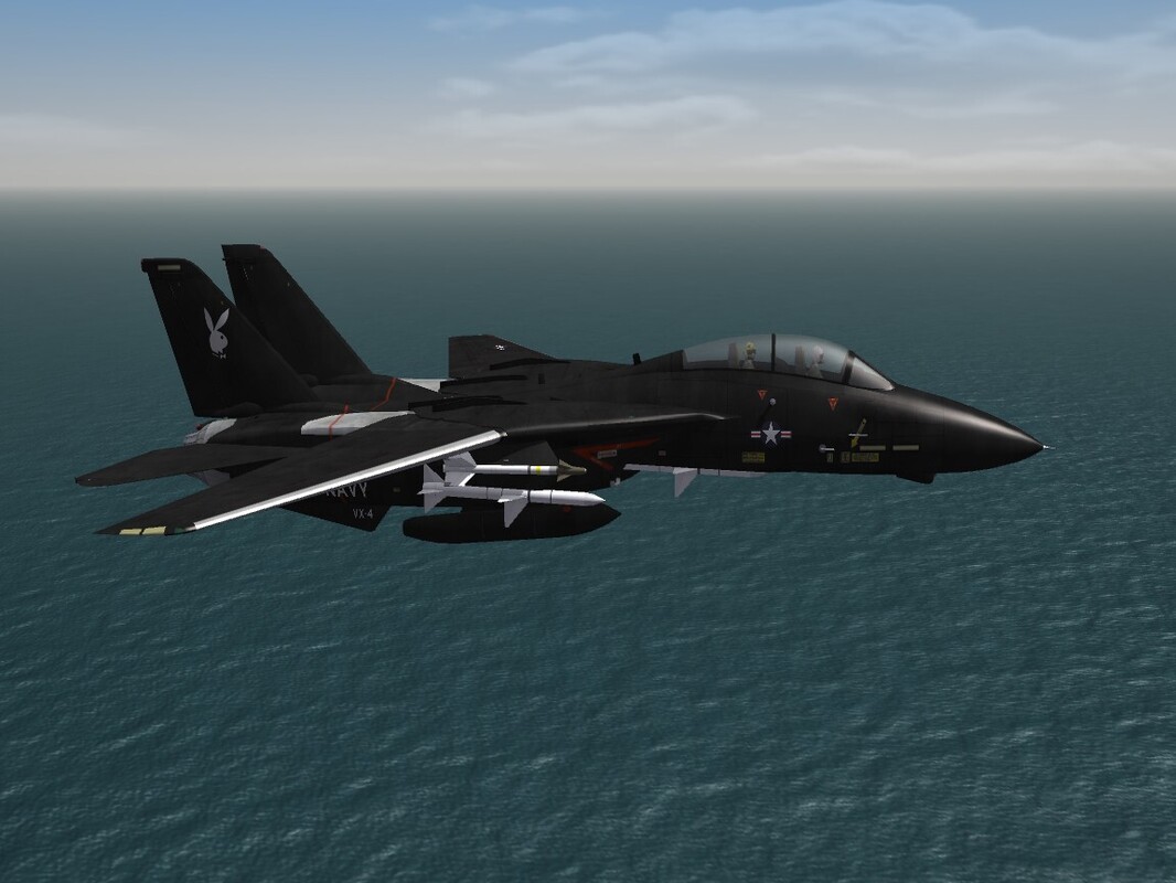 f14-black-bunny.JPG