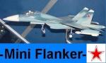 MiniFlanker