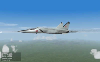 MiG 25U  Pilot In trannig